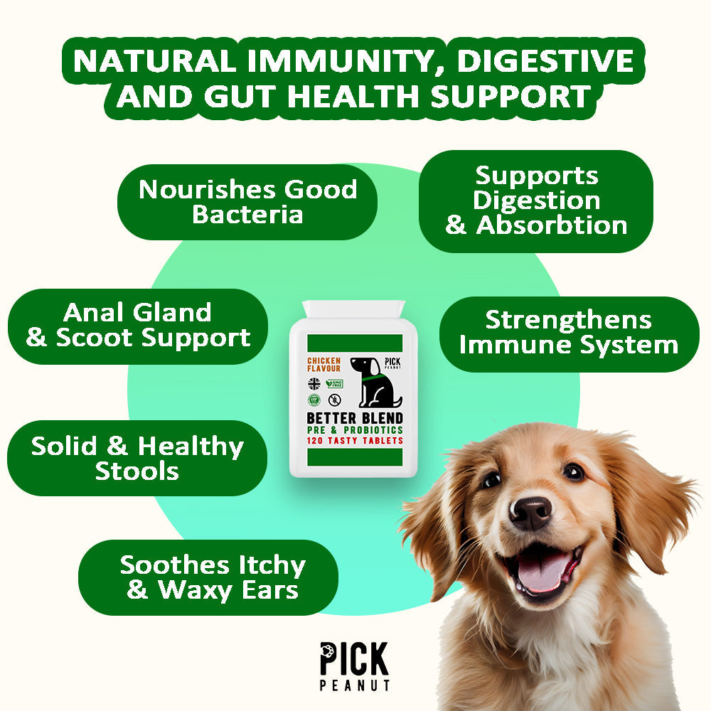 Pre & Pro Biotics
