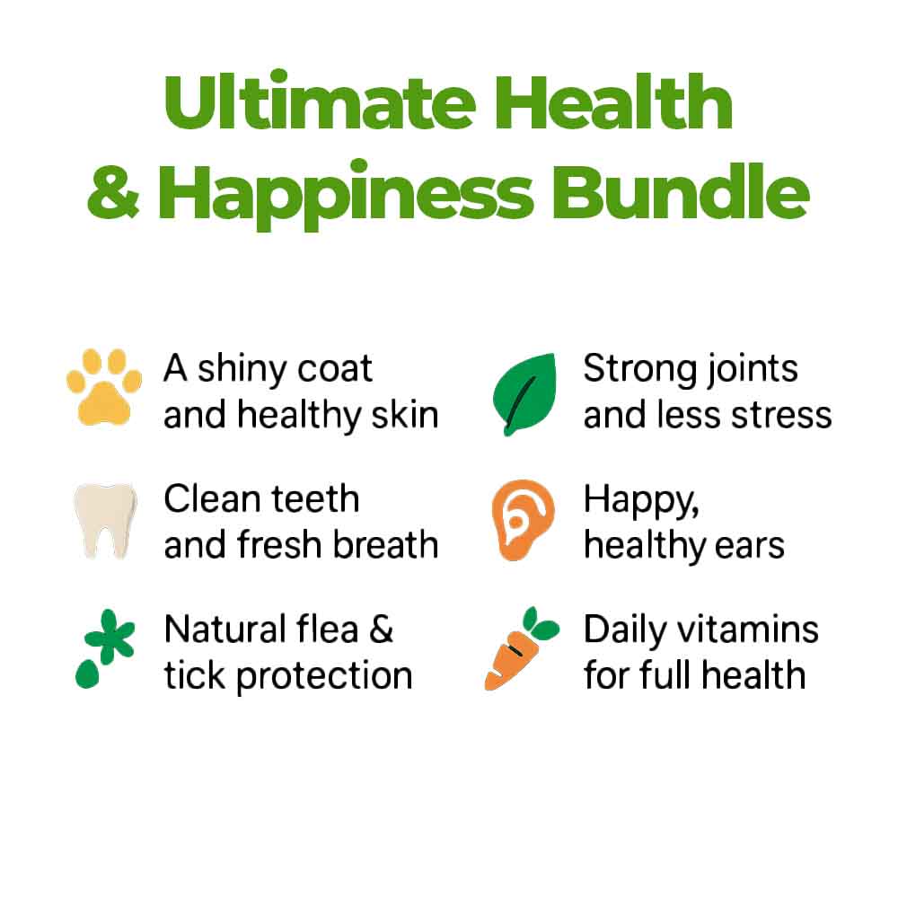 Everything Your Dog Needs Bundle